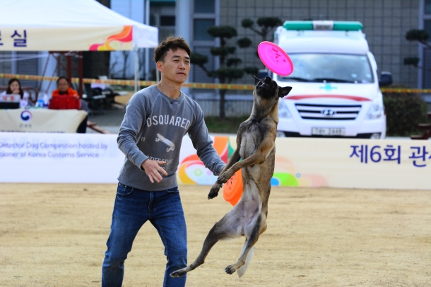 제6회 관세청장배 탐지견 경진대회
