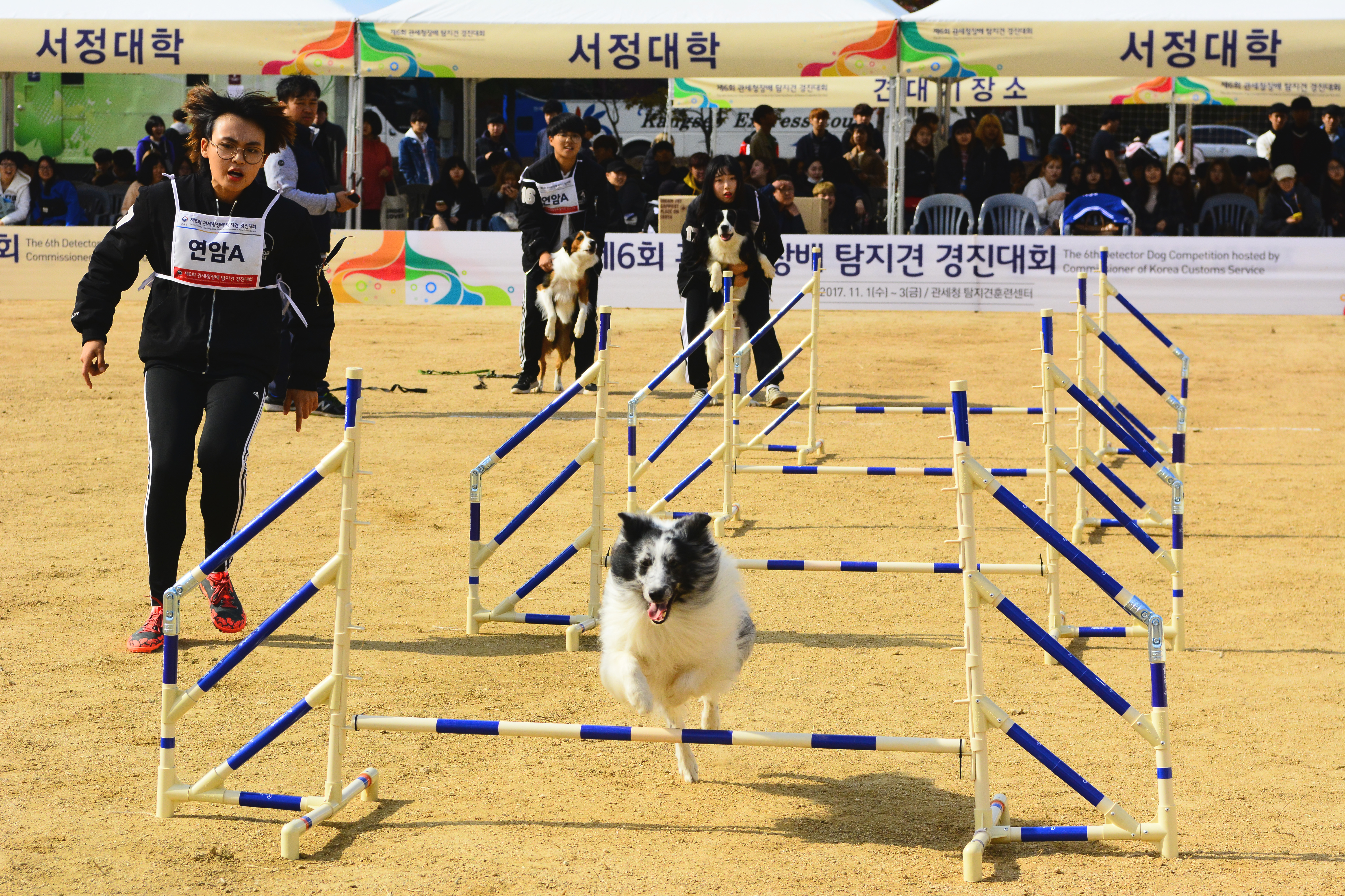 제6회 관세청장배 탐지견 경진대회
