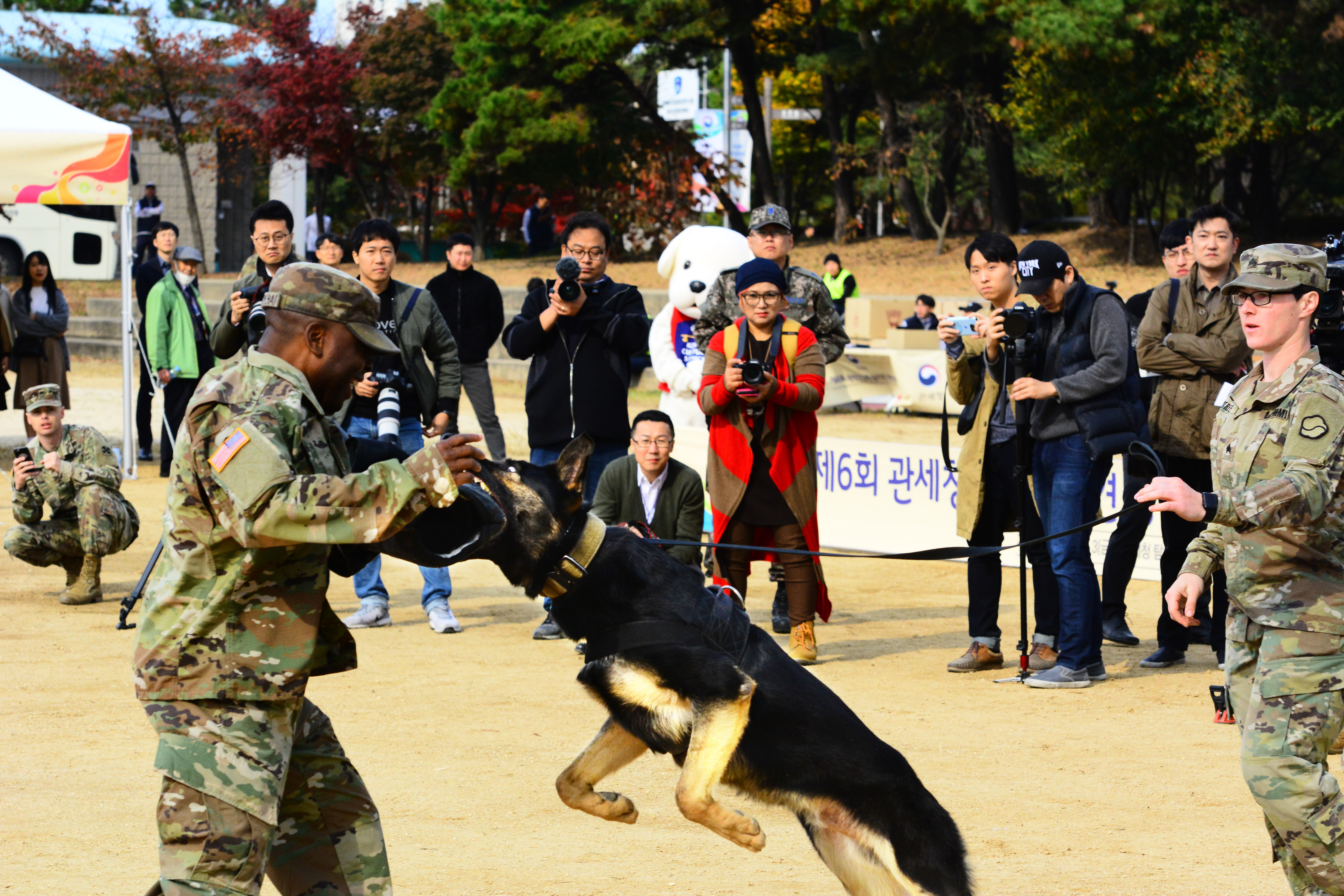 제6회 관세청장배 탐지견 경진대회