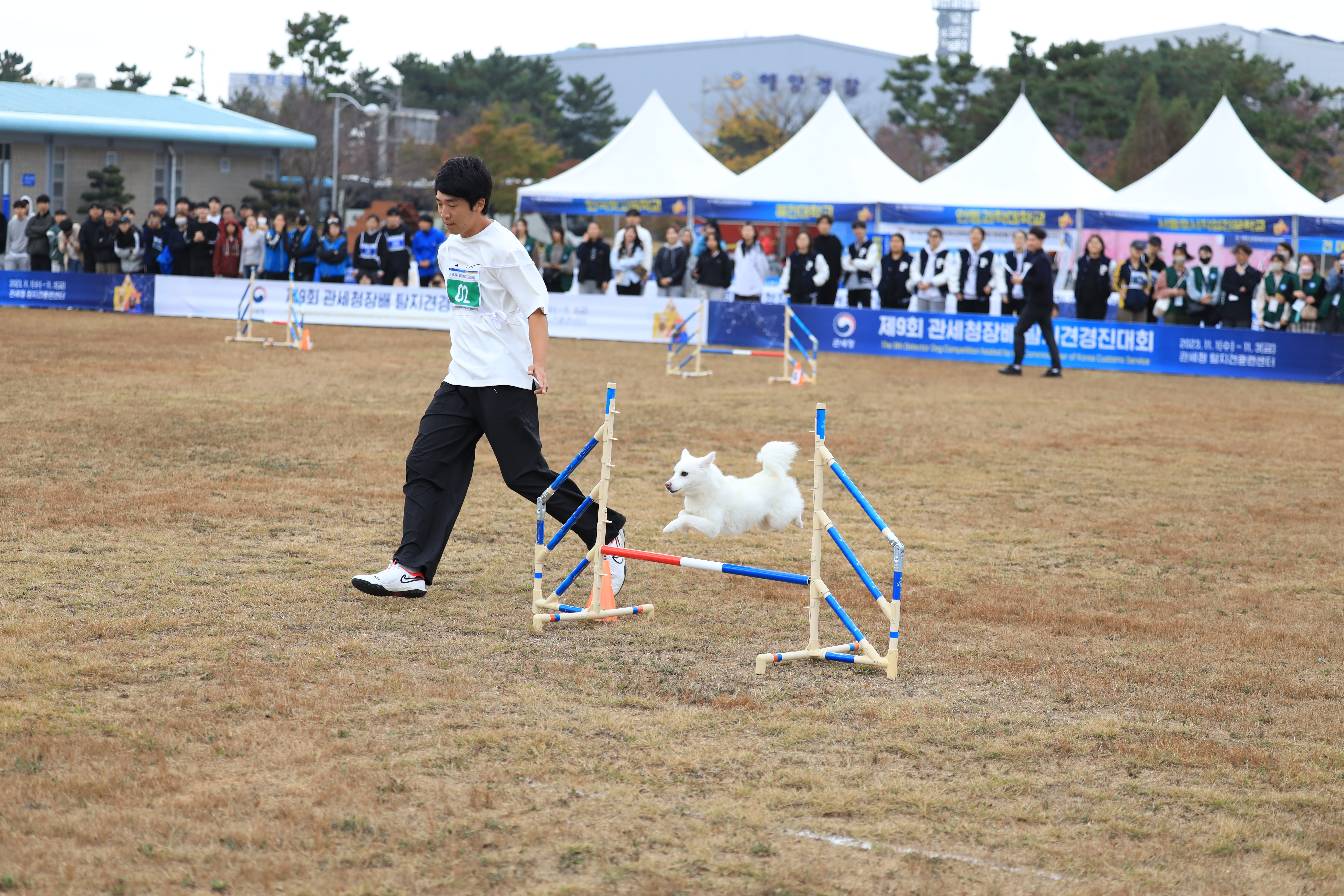 제9회 관세청장배 탐지견경진대회